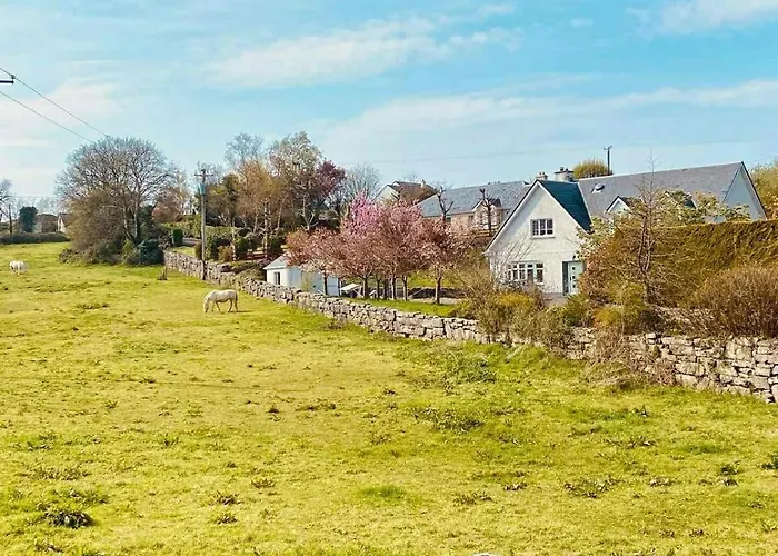 - 1 Bed Guest Flat Galway